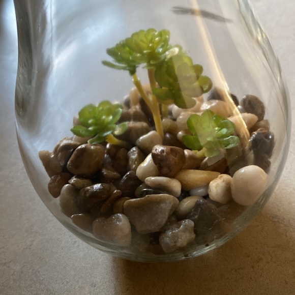 Imitation plant in light Bulb Press top for light  Takes a 3v bulb - Picture 9 of 10